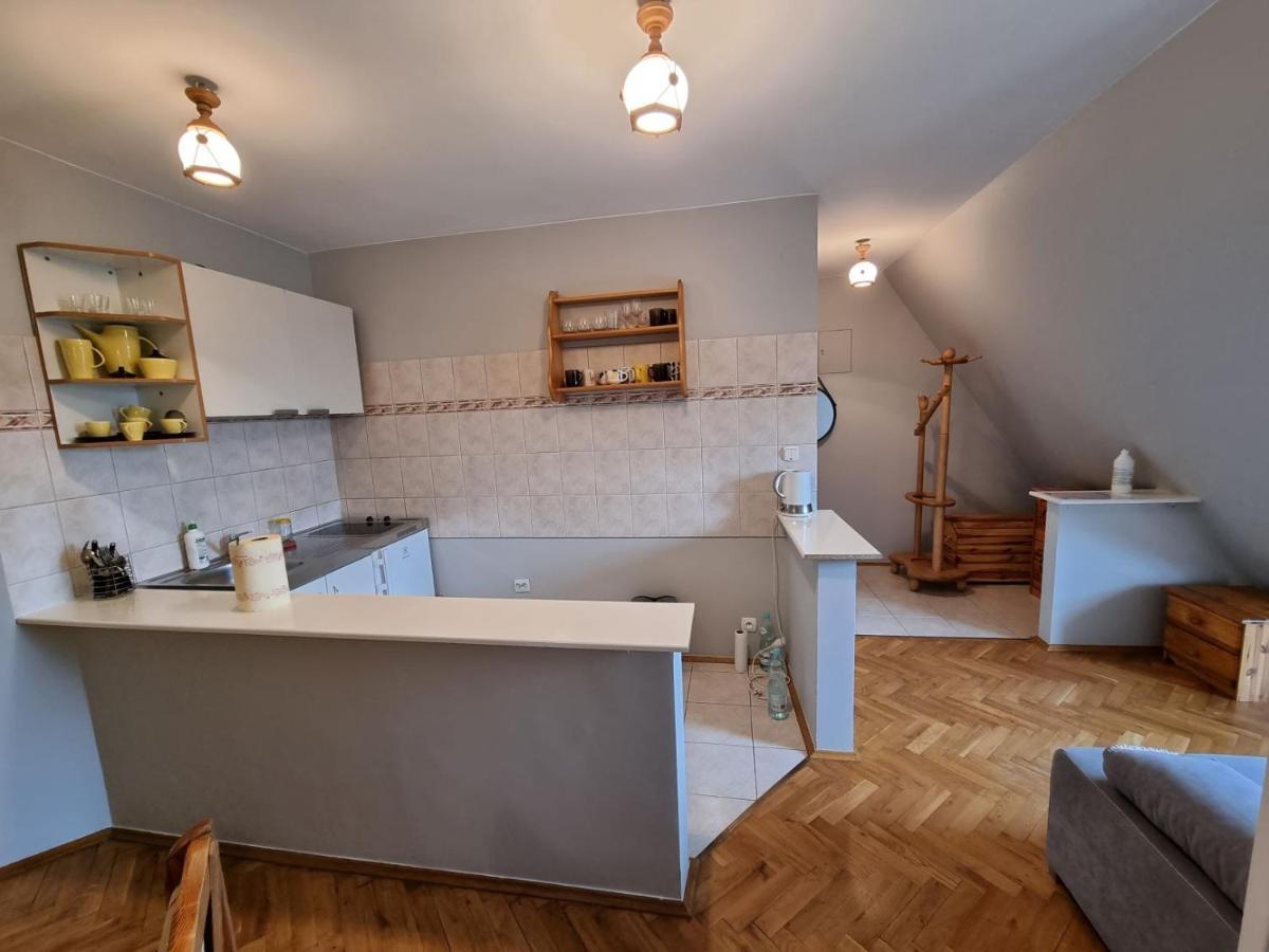Apartament Droga Na Bystre 9A Zakopane Buitenkant foto