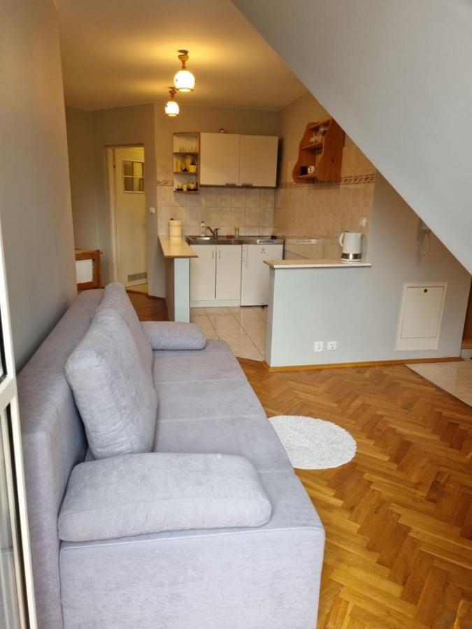 Apartament Droga Na Bystre 9A Zakopane Buitenkant foto